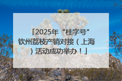 2025年“桂字号”钦州荔枝产销对接（上海）活动成功举办！