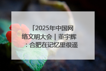 2025年中国网络文明大会｜董宇辉：合肥在记忆里很遥远也很亲切
