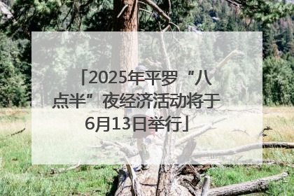 2025年平罗“八点半”夜经济活动将于6月13日举行