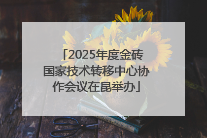 2025年度金砖国家技术转移中心协作会议在昆举办