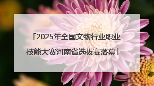 2025年全国文物行业职业技能大赛河南省选拔赛落幕