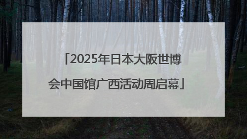 2025年日本大阪世博会中国馆广西活动周启幕