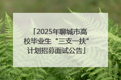 2025年聊城市高校毕业生“三支一扶”计划招募面试公告