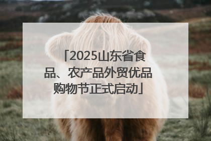 2025山东省食品、农产品外贸优品购物节正式启动