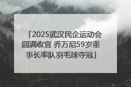 2025武汉民企运动会圆满收官 乔万尼59岁董事长率队羽毛球夺冠