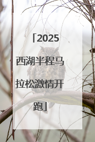 2025西湖半程马拉松激情开跑