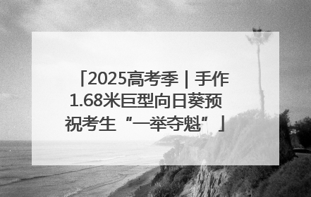 2025高考季｜手作1.68米巨型向日葵预祝考生“一举夺魁”
