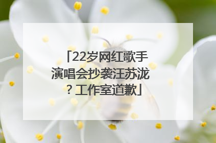 22岁网红歌手演唱会抄袭汪苏泷？工作室道歉