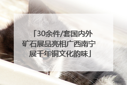 30余件/套国内外矿石展品亮相广西南宁 展千年铜文化韵味