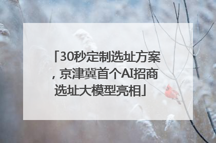 30秒定制选址方案，京津冀首个AI招商选址大模型亮相