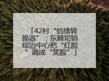 42村“情绪转换器”：东棘坨镇综治中心把“红脸”调成“笑脸”