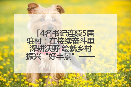 4名书记连续5届驻村：在接续奋斗里深耕沃野 绘就乡村振兴“好丰景”——浦发银行南京分行助力脱贫攻坚、帮促乡村振兴记事（二）