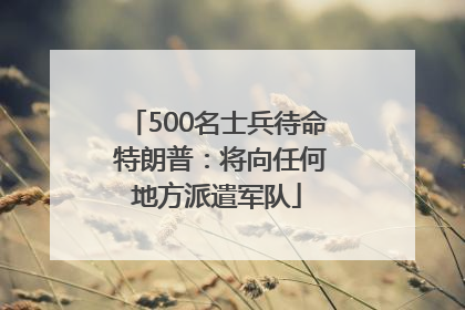 500名士兵待命 特朗普：将向任何地方派遣军队
