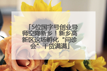 5位国字号创业导师空降新乡！新乡高新区这场孵化“问诊会”干货满满