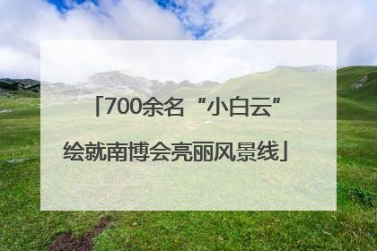 700余名“小白云”绘就南博会亮丽风景线