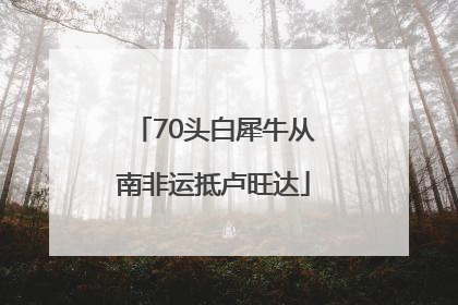 70头白犀牛从南非运抵卢旺达