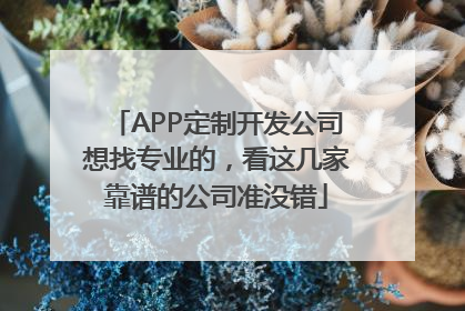 APP定制开发公司想找专业的，看这几家靠谱的公司准没错