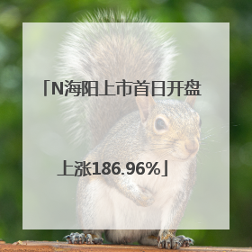 N海阳上市首日开盘上涨186.96%