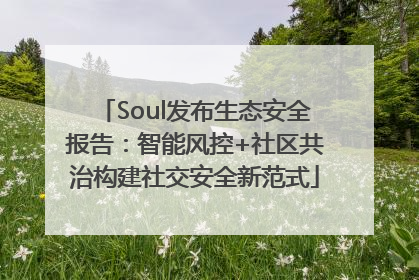 Soul发布生态安全报告：智能风控+社区共治构建社交安全新范式