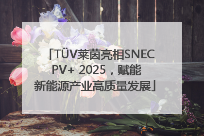 TÜV莱茵亮相SNEC PV+ 2025，赋能新能源产业高质量发展